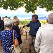 Decouverte Vigneronne Au Domaine Bisconte