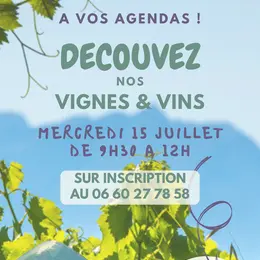 Découverte Vignes & Vins de la cave