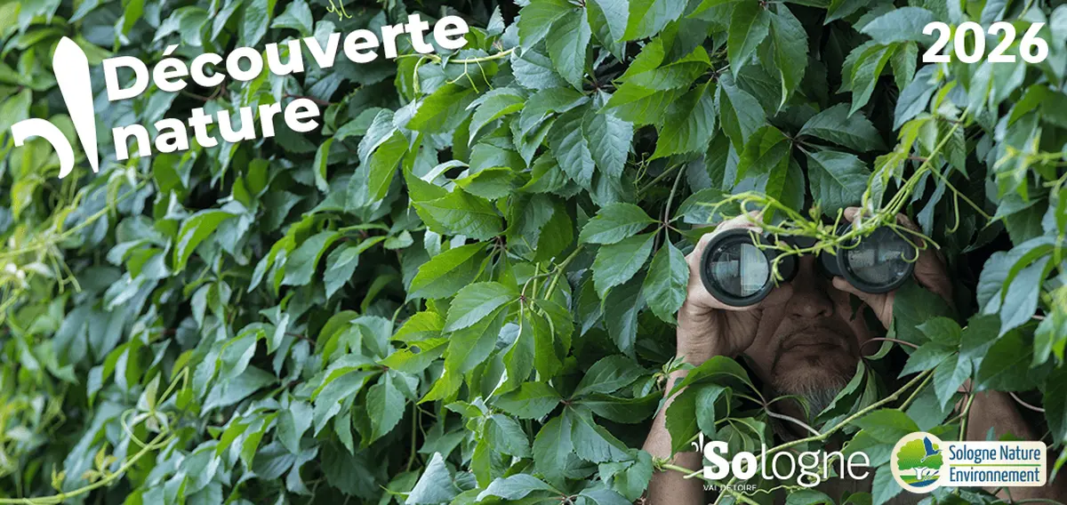 Découvertes Sologne Nature - En quête d'affût