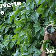 Découvertes Sologne Nature - Enquête d'affût  à Bracieux