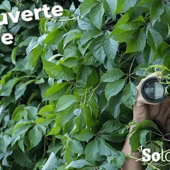 Découvertes Sologne Nature - Enquête d'affût  à Bracieux