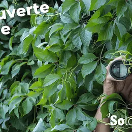 Découvertes Sologne Nature - Enquête d'affût  à Bracieux