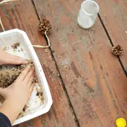 Découvertes sur les oiseaux et confection de boules de graisse