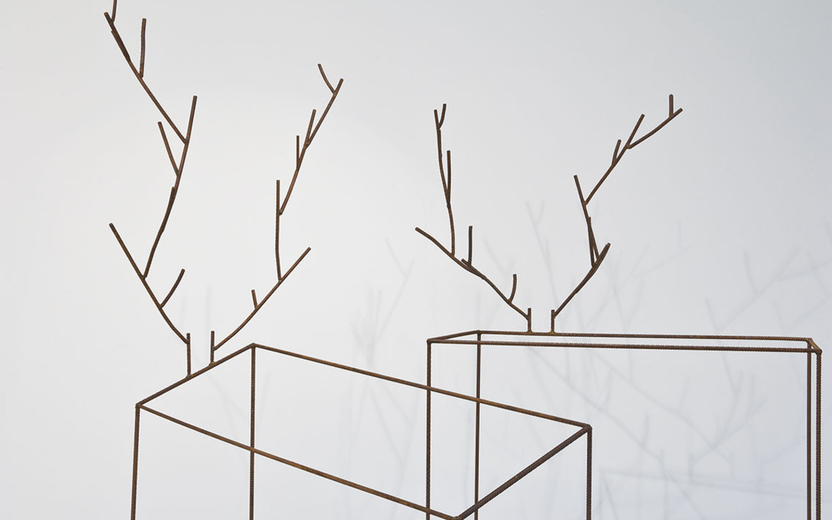 Sans titre (cervidé) I et Sans titre (cervidé) III, Didier Marcel, 2010