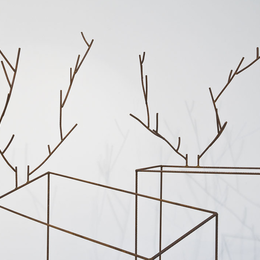Découvrez l'exposition « Éloge du trait » dans la collection agnès b.