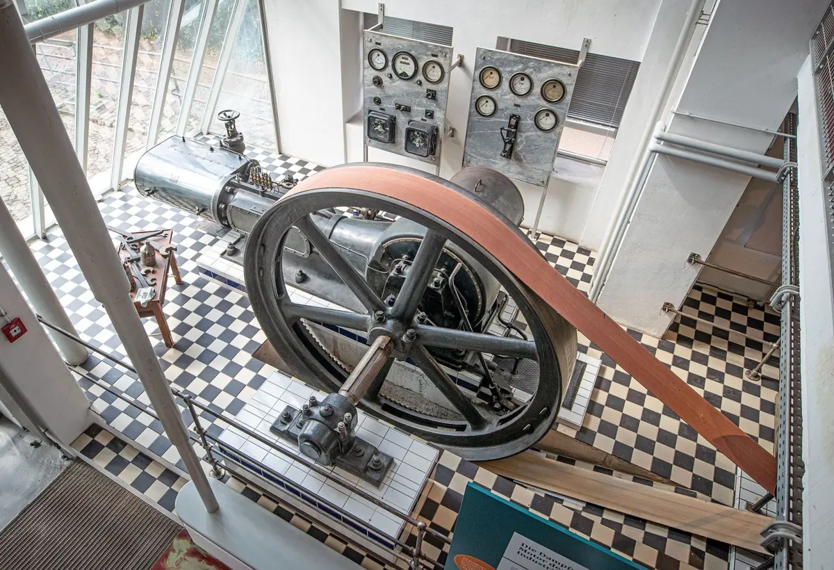 Découvrez l'histoire de la chaussure de manière authentique et immersive