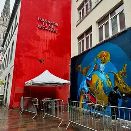 Découvrez la 101ème Performance du Mur de Mulhouse avec Djalouz