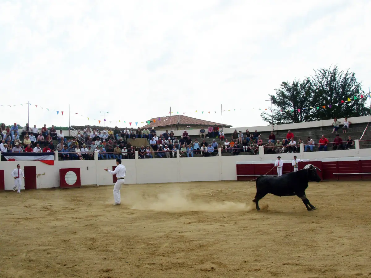 Découvrez la course landaise de l'intérieur avec un ambassadeur passionné
