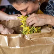 Découvrez les bienfaits des plantes sauvages - Avril