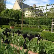 Découvrez les Iris au Domaine de Poulaines