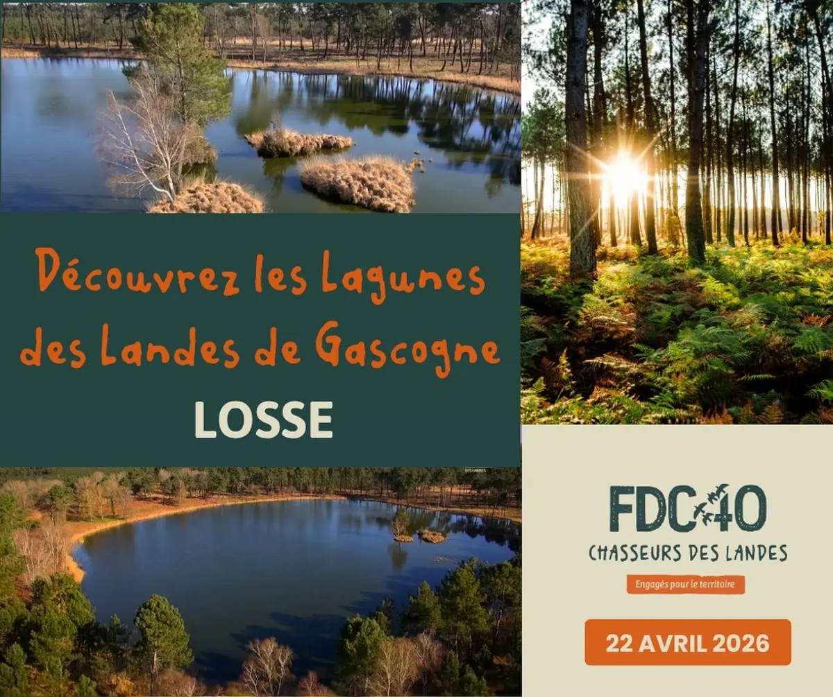 Découvrez les lagunes des Landes de Gascogne