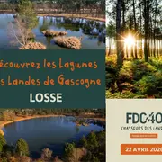 Découvrez les lagunes des Landes de Gascogne