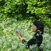Découvrez les plantes sauvages de la Coulée Verte