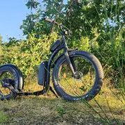 Découvrez Mézos lors d’une balade en Tchanquaroue