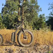 Découvrez Mimizan en Tchanquaroue