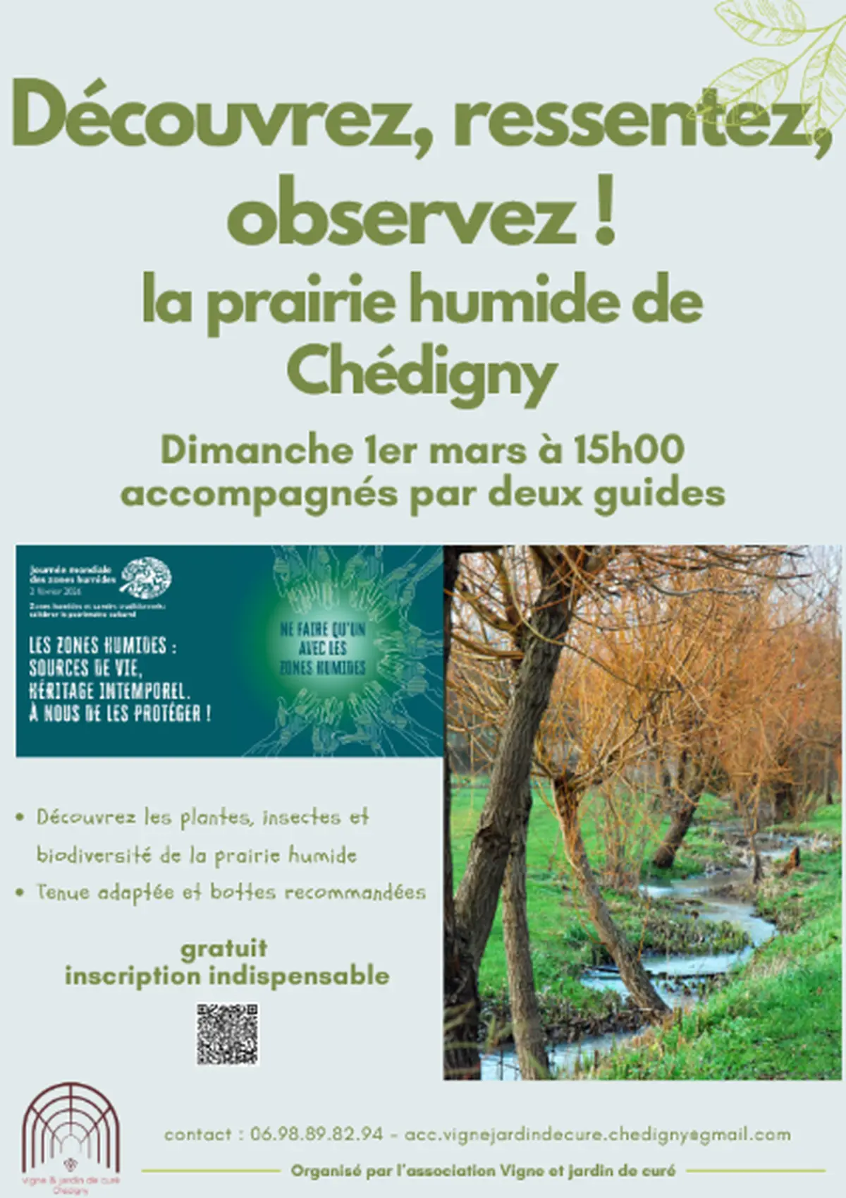 Découvrez, observez les plantes et insectes des prairies humides