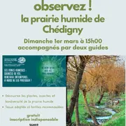 Découvrez, observez les plantes et insectes des prairies humides