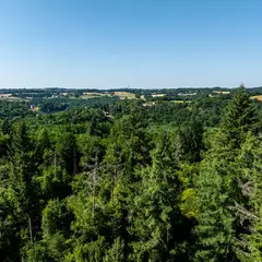 Découvrir le sentier d'interprétation de la forêt de Ligoure