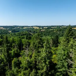 Découvrir le sentier d'interprétation de la forêt de Ligoure