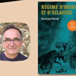 Dédicace BD - Dominique HÉRODY