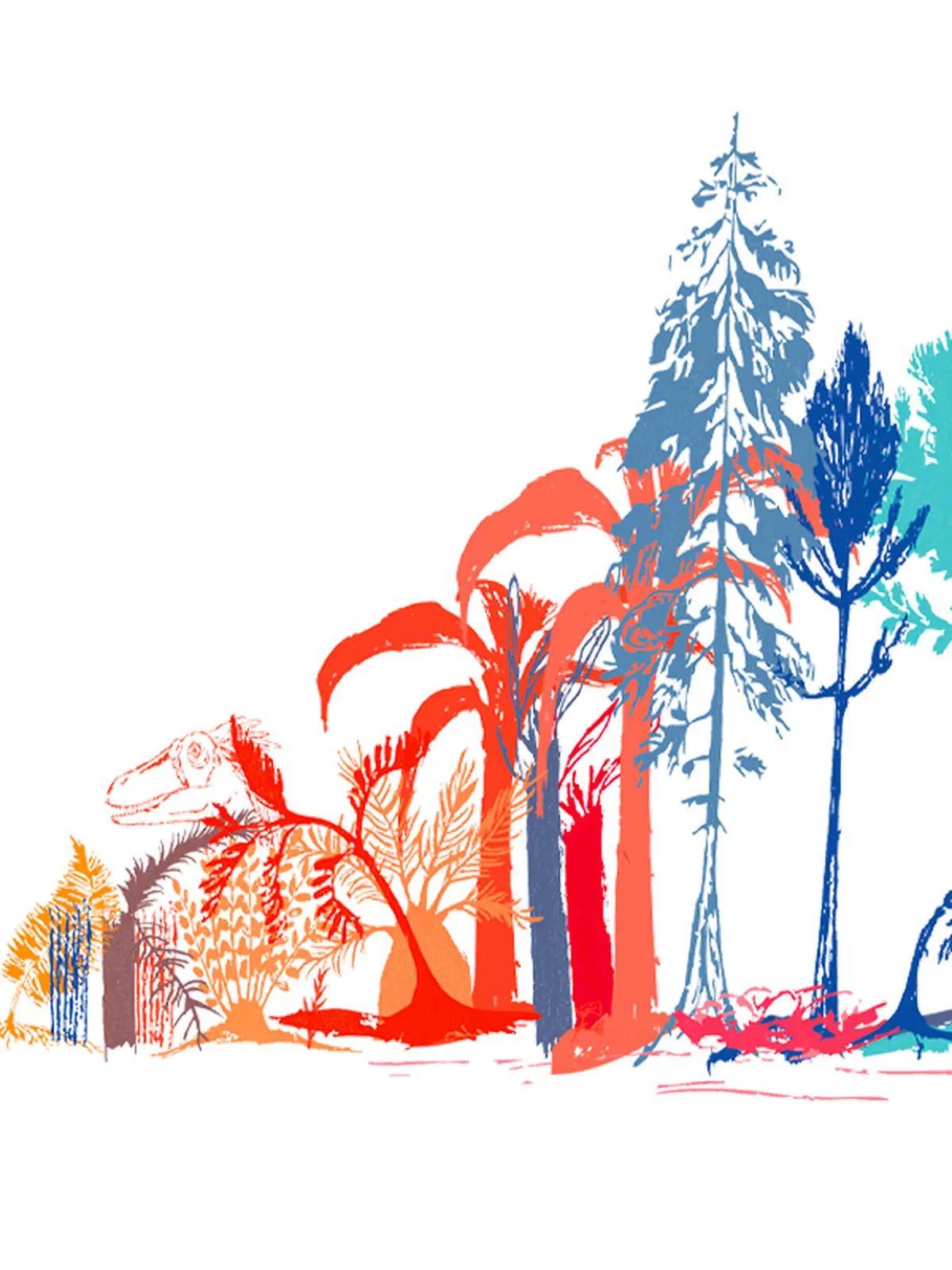 Défi Dino Dessins