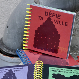 Défie ta ville