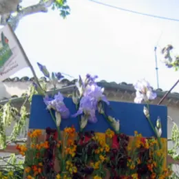 Défile de la charrette des ânes et foire aux fleurs