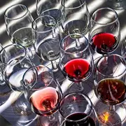 Dégustation à l'aveugle et apéro vigneron