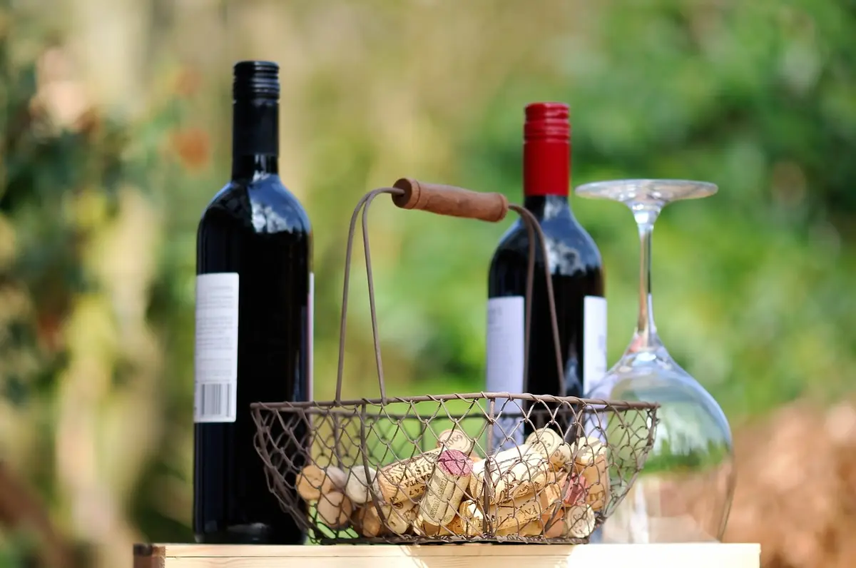 Degustation Au Domaine