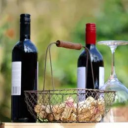 Degustation Au Domaine