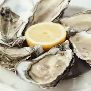 Dégustation d'huîtres