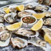 Degustation d'huîtres en cabane