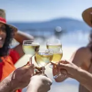 Dégustation d'huîtres et de vins à l'étang de Thau (34)