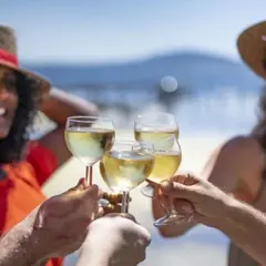 Dégustation d'huîtres et de vins à l'étang de Thau (34)