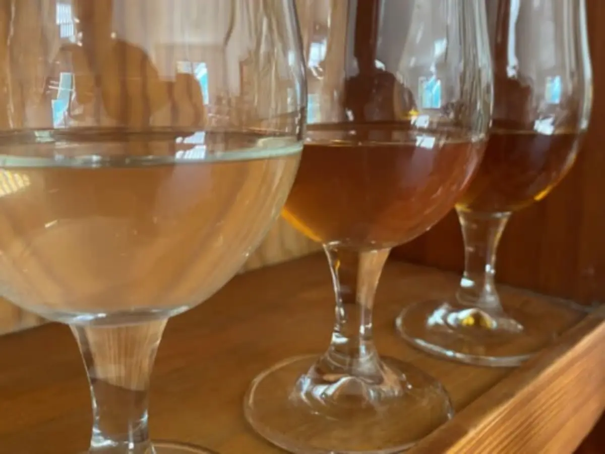 Dégustation d'hydromel chez des apiculteurs à Lourdes (65)