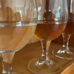 Dégustation d'hydromel chez des apiculteurs à Lourdes (65)