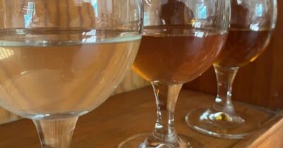 D&eacute;gustation d'hydromel chez des apiculteurs &agrave; Lourdes (65)