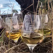 Dégustation de 4 vins | Vignobles Alard