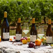 Dégustation de 5 vins au Château de Chamirey (71)