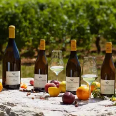 Dégustation de 5 vins au Château de Chamirey (71)