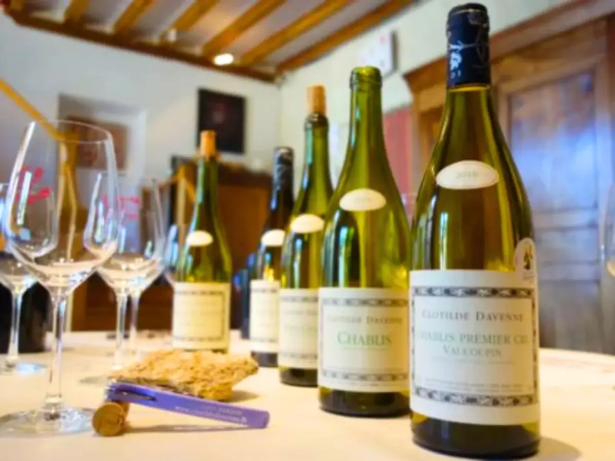 Dégustation de Chablis au domaine Clotilde Davenne à Auxerre