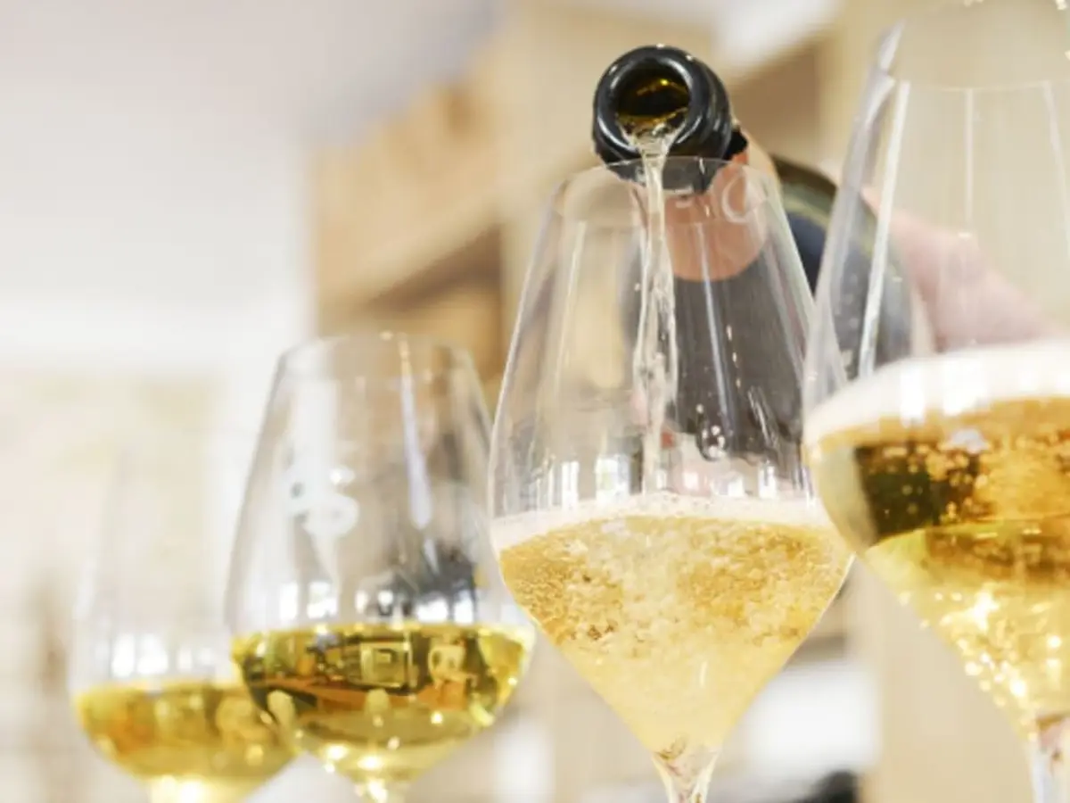 Dégustation de champagne à Hermonville (51)