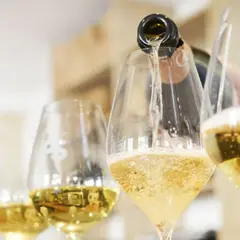Dégustation de champagne à Hermonville (51)