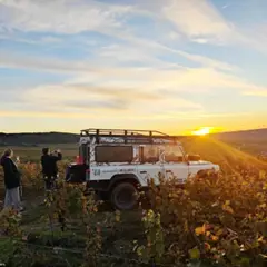 Dégustation de Champagne au coucher du Soleil à Reims  (51)