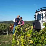 Dégustation de Champagne millésimé & balade panoramique (51)