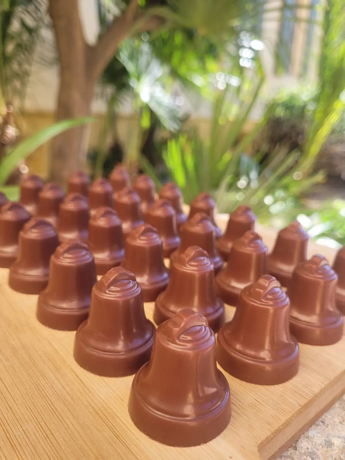 Degustation De Chocolat