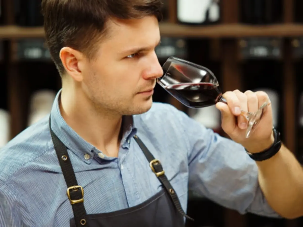 Dégustation de grands vins du Bordelais à Bordeaux (33)