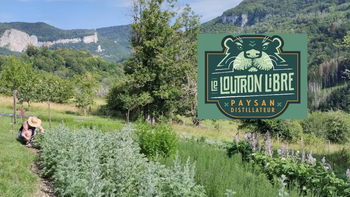Dégustation de spiritueux Le Loutron Libre