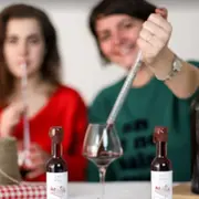 Dégustation de vin à Saint-Emilion (33)