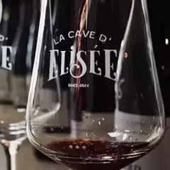 Dégustation de vins à Beaune (21)